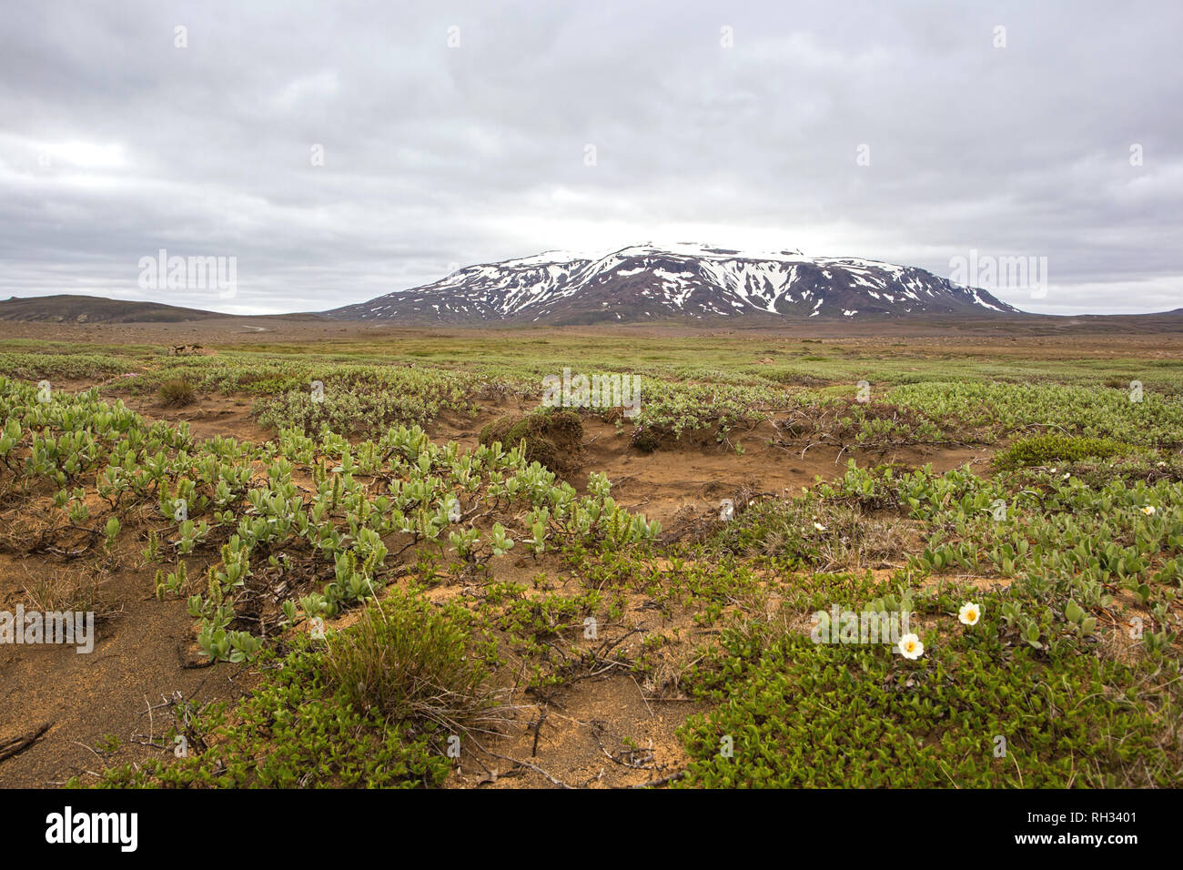 Icelandic nature landscape scenery near Hvitarnes Stock Photo