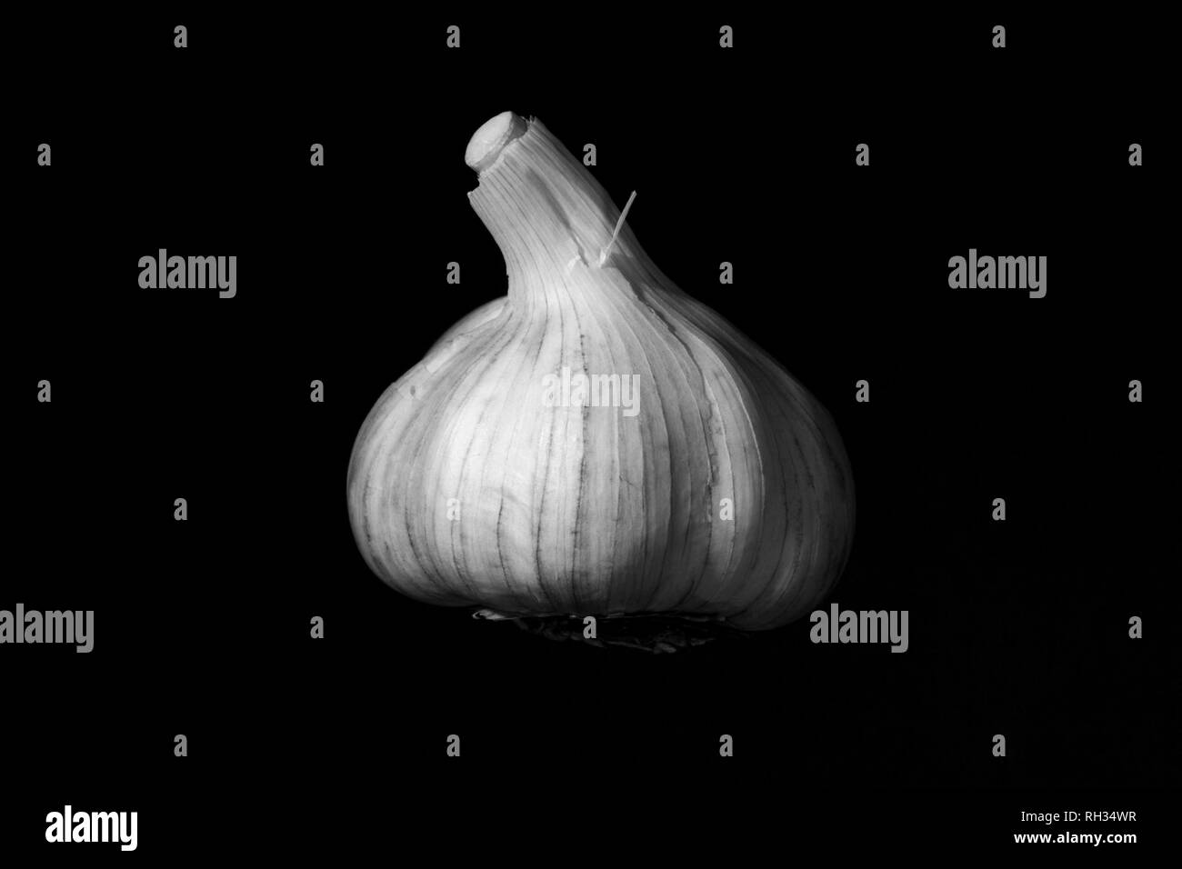 One isolated Garlic head on black background Stock Photo Alamy