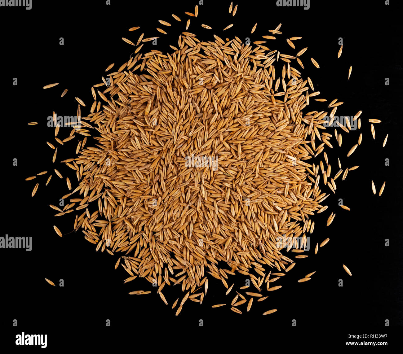 Pile of oat seeds on black background, top view Stock Photo