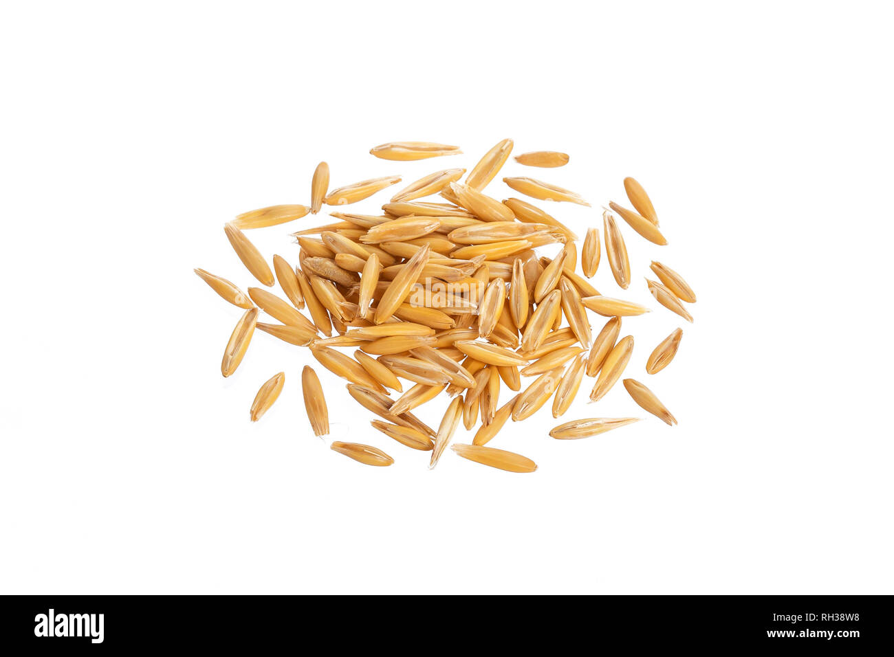 Pile of oat seeds isolated on white background, top view Stock Photo