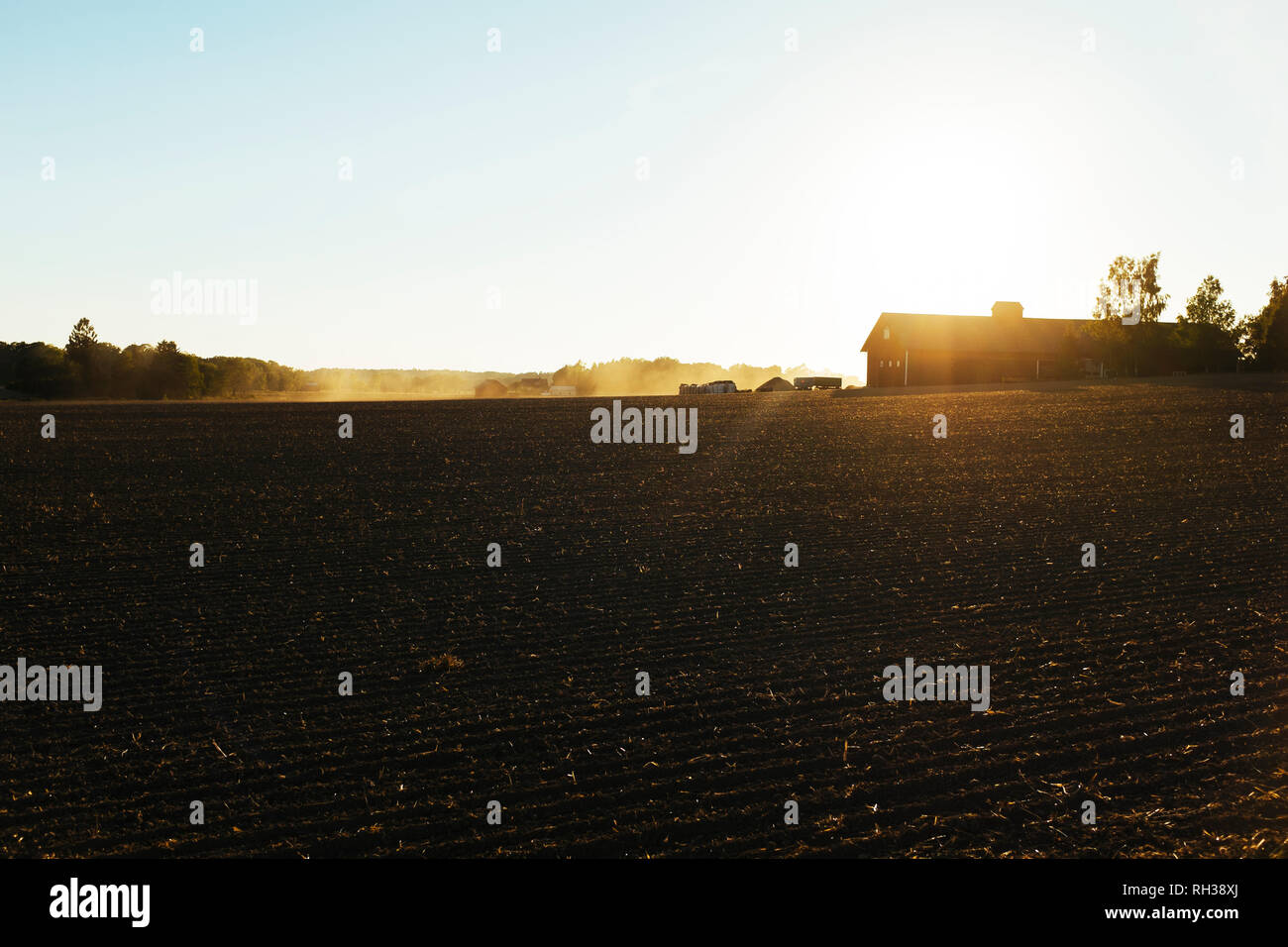 Tractor on field Stock Photo - Alamy