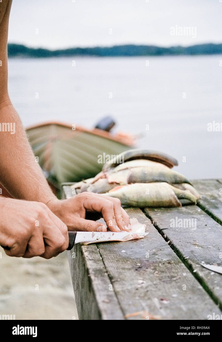 Man preparing fish, close-up Stock Photo