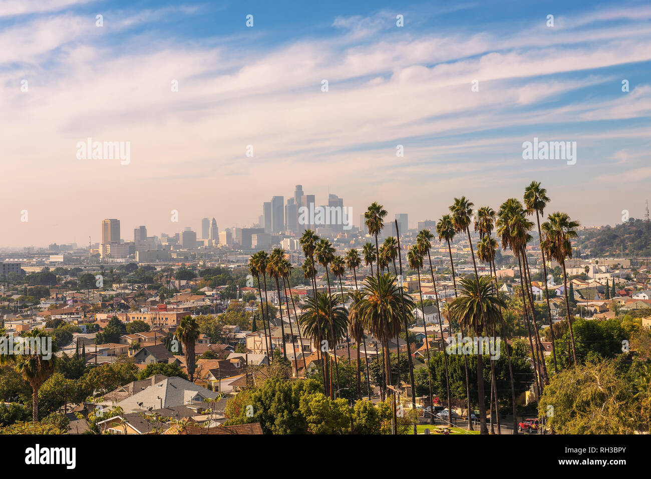 Los Angeles skyline at sunset with palm trees in the foreground Stock Photo