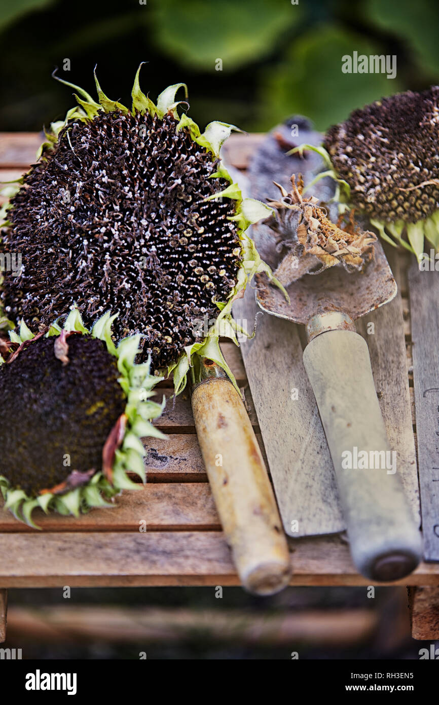 Tool life hi-res stock photography and images - Alamy