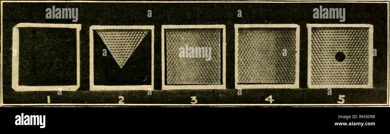 . British bee journal &amp; bee-keepers adviser. Bees. Fig. 34. Fig. 35. V joint be damped or the wood will swell and it will be impossible to fold the section square. Hot water is used, as it soaks in quicker than cold. The sections are now folded, leaving one half of the split top standing upright, taking care that it is the half that will shut down properly, as the saw-cut is^ made oh the bevel,. Fig. 36. so that when the two portions come together the foundation is gripped firmly and does not slip out, which it might do with a straight cut. A simple block (Fig. 35). Please note that these  Stock Photo