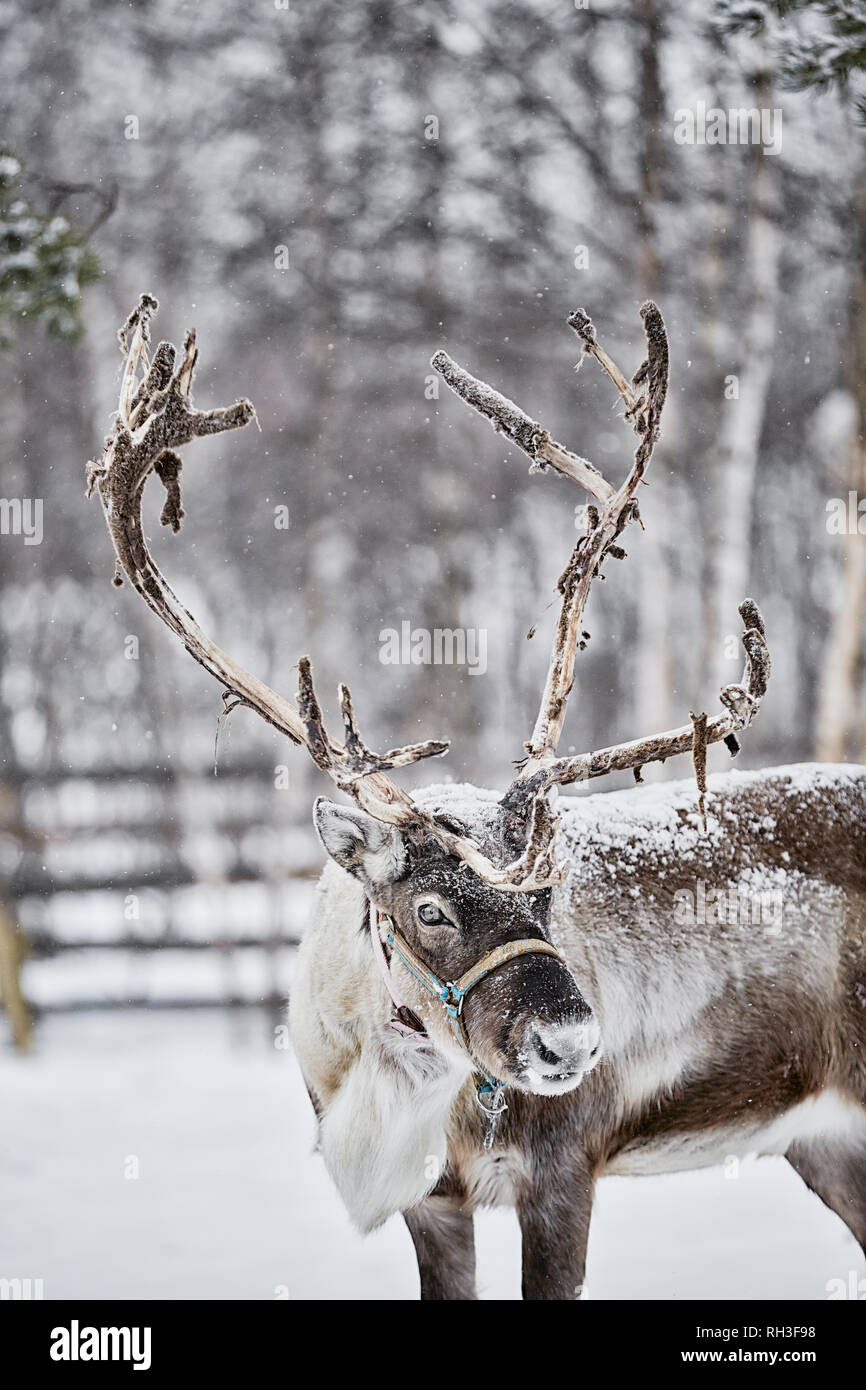 Slideshow160 hi-res stock photography and images - Alamy