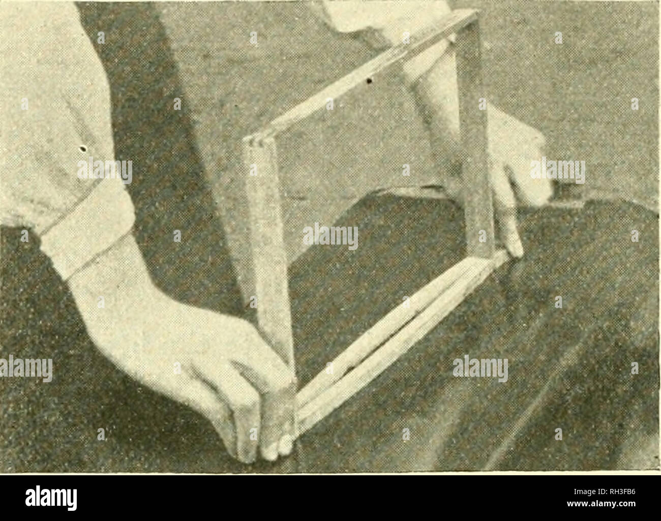 . British bee journal &amp; bee-keepers adviser. Bees. FIG. 23. into the saw cut by placing the fi-ame as shown at Fig. 24; by pulling with the left hand and pushing with the right the saw cut is opened, the foundation is held between the finger and thumb of each hand and slipped down into position while the frame is held with the groove open (Fig. 25). Another method is to drive a couple of nails into the bench about fin. apart; these are inserted into the saw cut and the frame turned right round so that the cut is held open automatically. Refer- ence to Fig. 26 will show the nails and the po Stock Photo