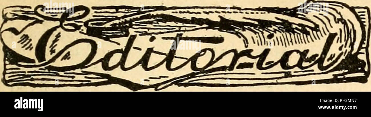 . British bee journal &amp; bee-keepers adviser. Bees. April 29, 1915] THE BRITISH BEE JOUENxiL.. BELGIAN RELIEF FUND. We have at our office a 281b. tin of Welsh heather honey, a hockey stick, three bound volumes of &quot; Record,&quot; and an Irish Bee Guide. What offers, please, to Manager, British Bee Journal Office, 23, Bedford Street, Strand, W.C? We are sorry to say that just on going to press we learn that the name of Capt. Hadfield, the Secretary of the Lines. B.K.A., is among the list of officers wounded in Flanders. We hope his wound is not of a serious nature. THE B.B.K.A. CONVERSAZ Stock Photo