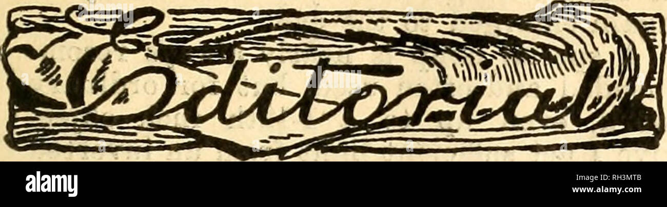 . British bee journal &amp; bee-keepers adviser. Bees. April 22, 1915.] THE BRITISH BEE JOURNAL. i2T. BELGIAN RELIEF FUND. We have at our oflSce a 281b. tin of Welsh, heather honey, a hockey stick, three bound volumes of &quot; Record,&quot; and an Irish Bee Guide. What offers, please, to Manager, British Bee Joi^rnal Office, 23, Bedford Street, Strand, W.C? BRITISH BEE-KEEPERS' ASSOCIATION. The monthly meeting of the council was held at 23, Bedford Street, Strand, Lon- don, W.C, on Thursday, April 15, 1915. Mr. J. B. Lamb presided, and there were also present Miss M. D. Sillar, Messrs. G. S.  Stock Photo