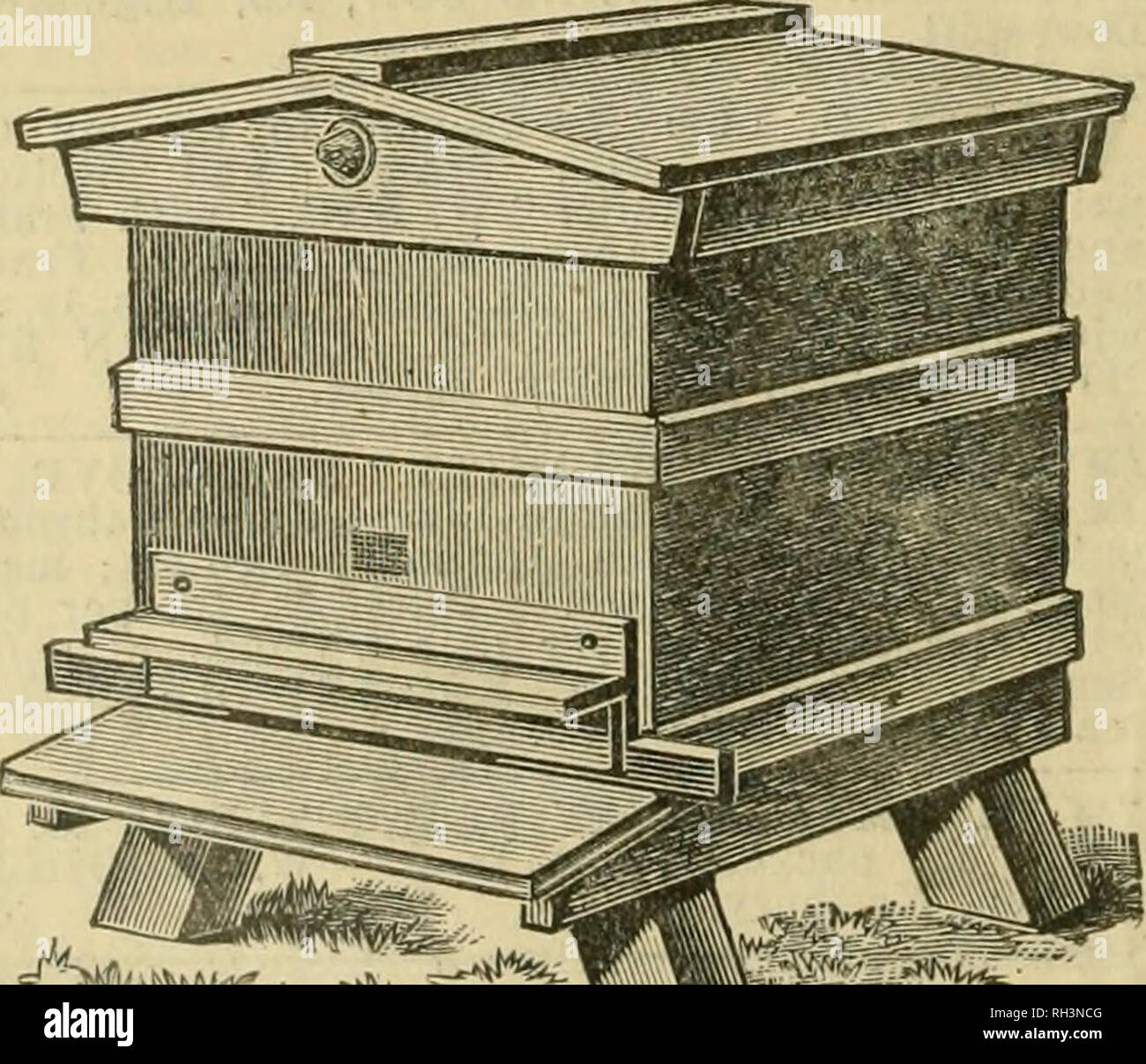 . British bee journal & bee-keepers adviser. Bees. VI THE BRITISH BEE ...