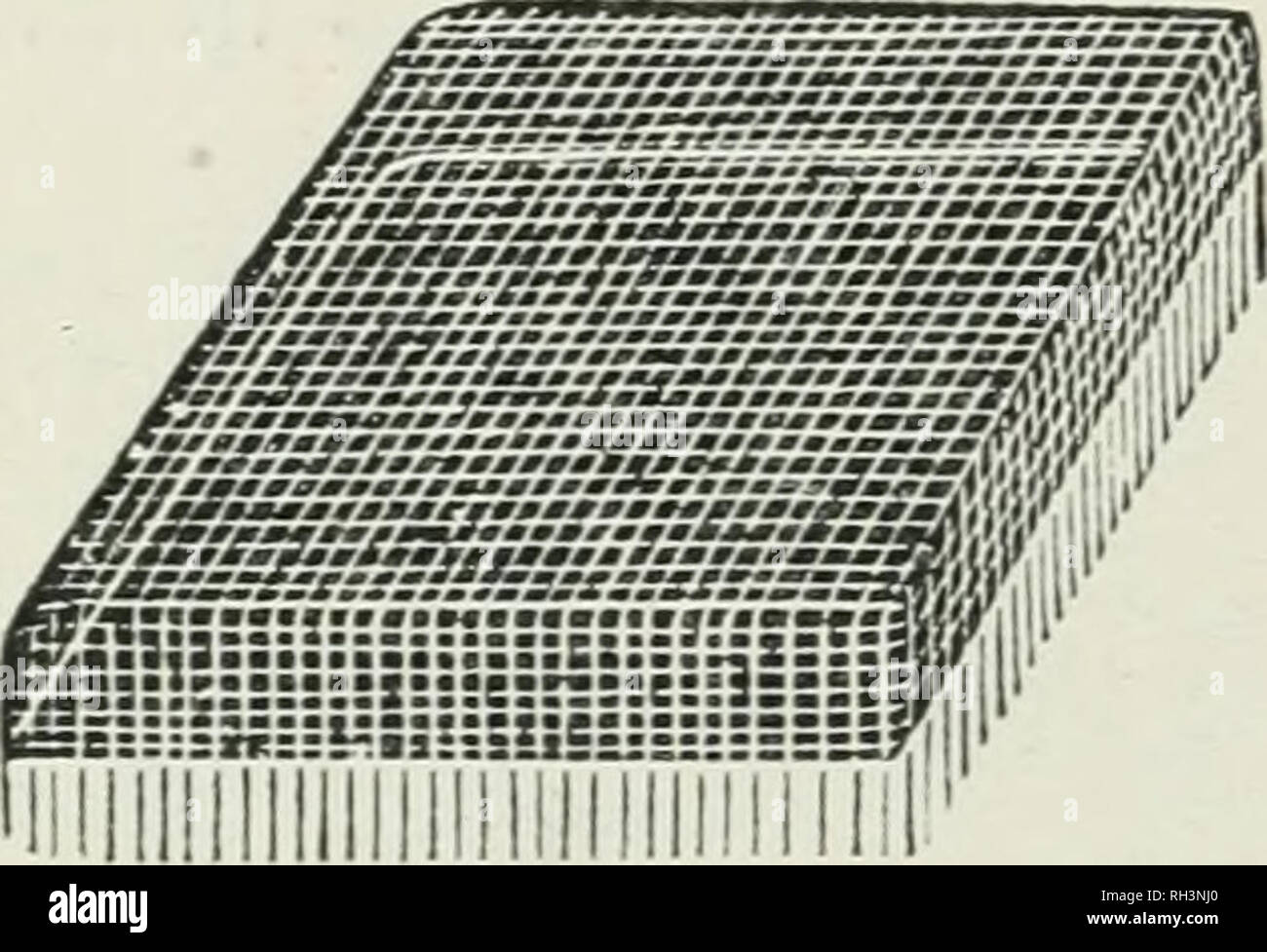 British Bee Keepers Guide Book To The Management Of Bees In - 