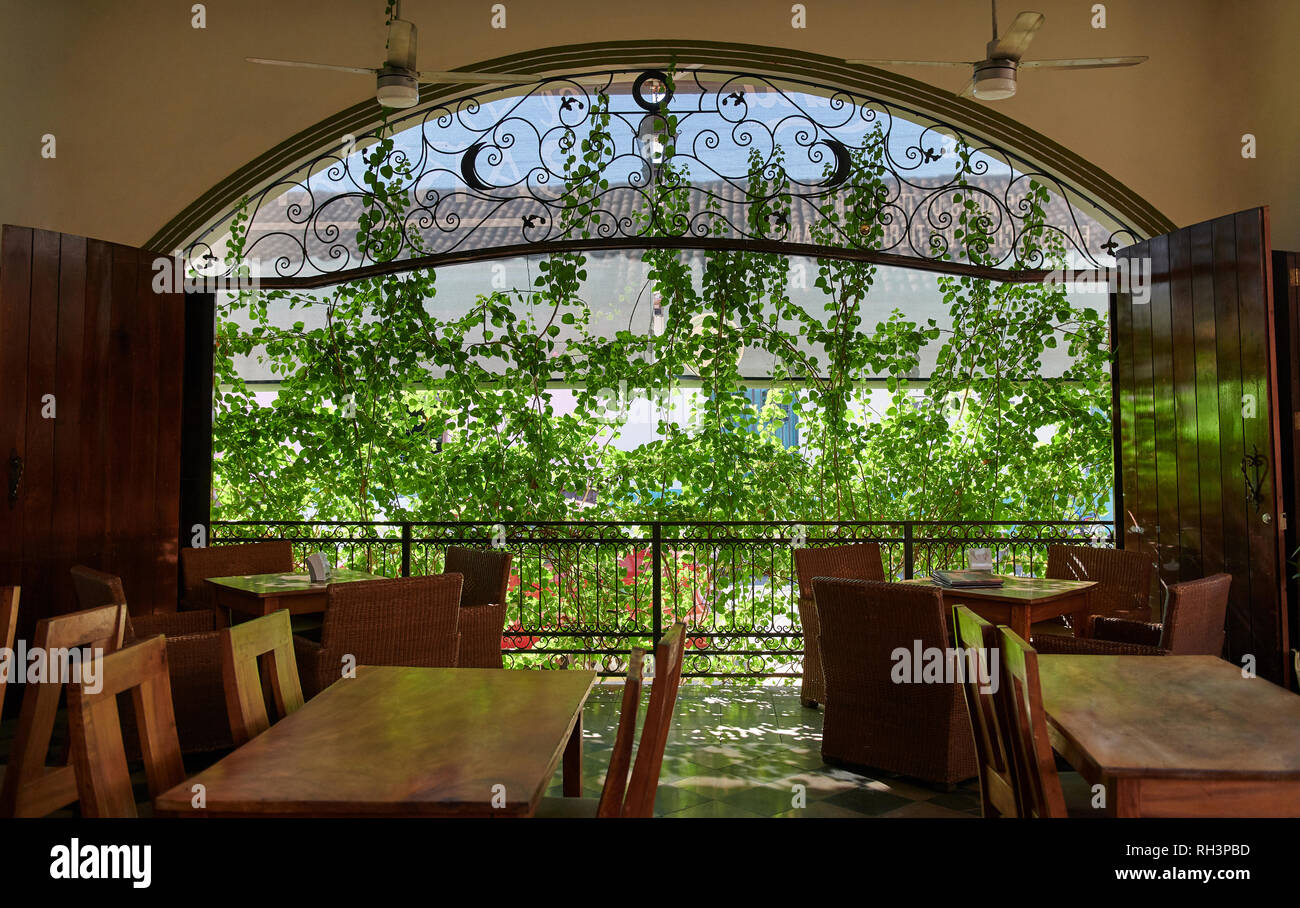 Big window with green leafs in empty restaurant Stock Photo