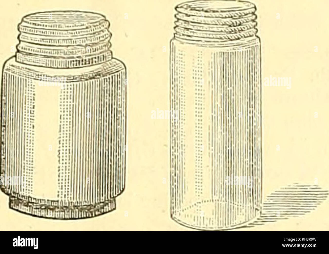 British Bee Journal Bee Keepers Adviser Bees May 19 1887