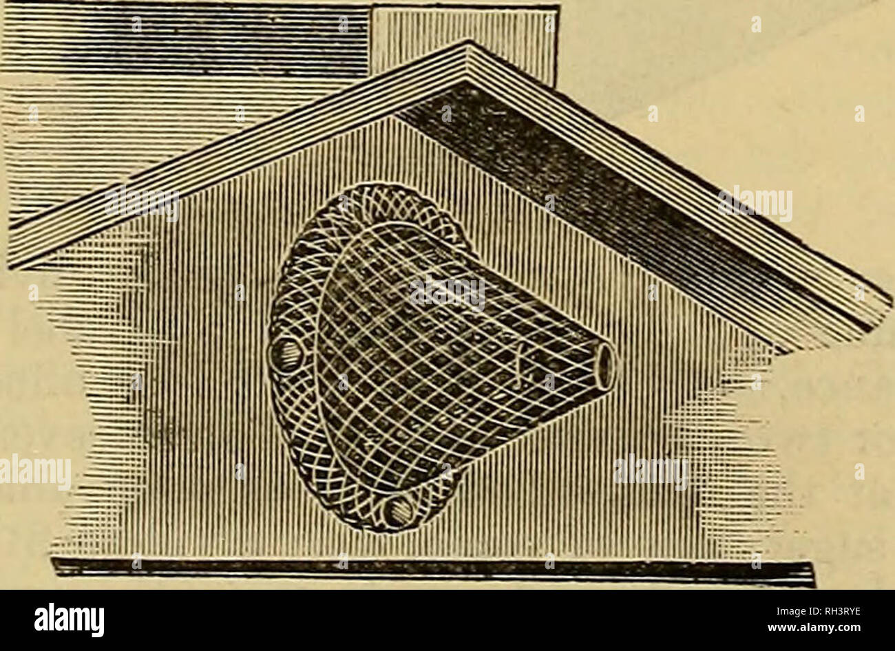 British Bee Journal Bee Keepers Adviser Bees Fig 2 Of Wood