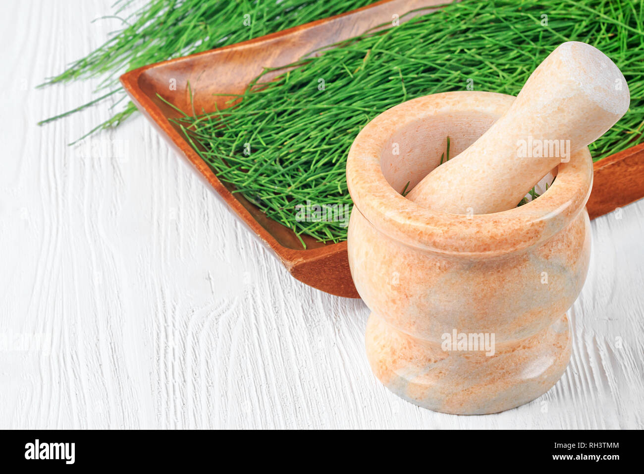 Equisetum (horsetail) herb in mortar. Alternative medicine concept on white wooden table (selective focus). Stock Photo