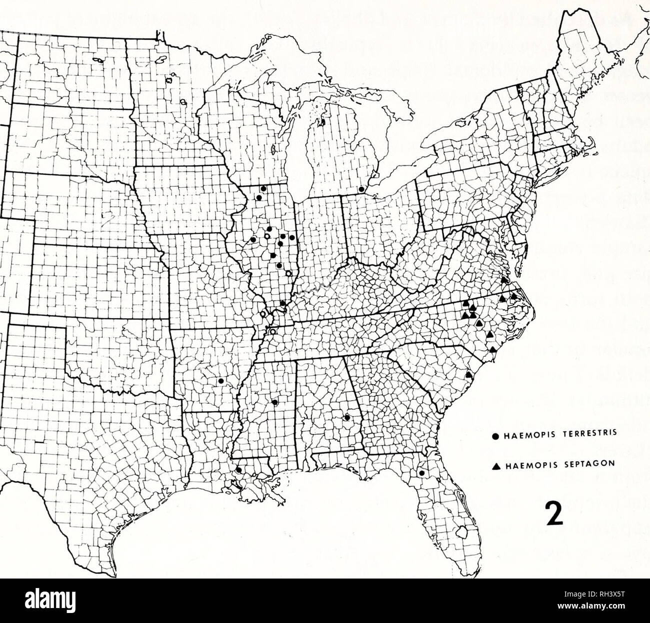 . Brimleyana. Zoology; Ecology; Natural history. 132 Rowland M. Shelley, Alvin L. Braswell, David Stephan. HAEMOPIS TERRESTRIS HAEMOPIS SEPTAGON Fig. 2. Distribution of the terrestrial leeches of the United States, taken in part from Sawyer (1972) and Sawyer and Shelley (1976). Each circle represents a single collecting locality except for those sites occurring close together, which are represented by one symbol. Open circles are based on literature records believed to be valid. septagon; coupled with those listed by Sawyer and Shelley (1976) they in- dicate that the species is widespread in t Stock Photo