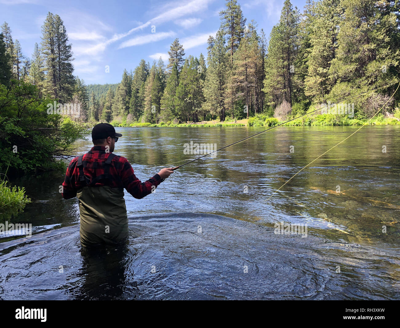 Metolius River Oregon Fly Fishing Trip with Fisherman Casting Stock Photo