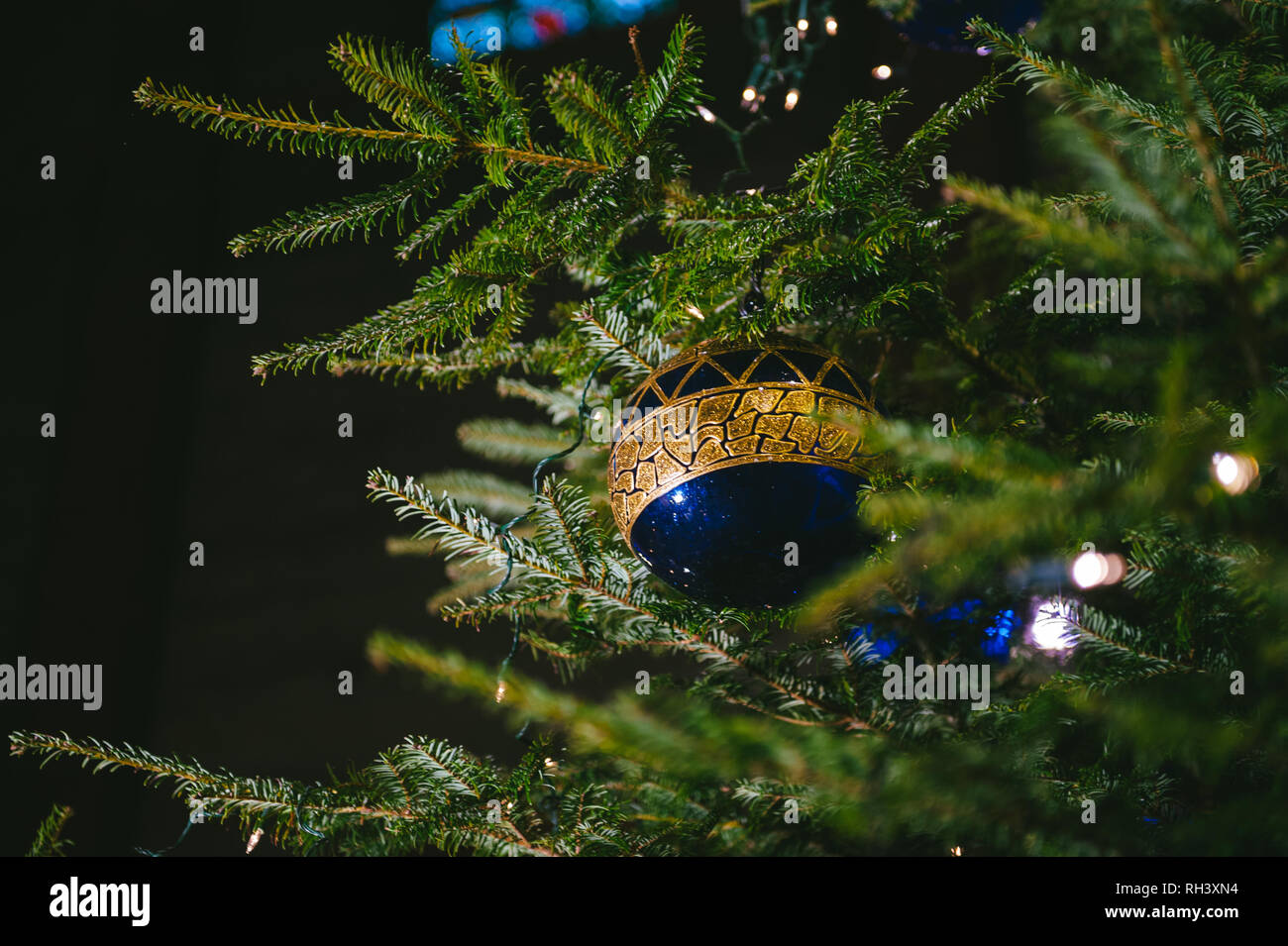 Christmas Ornament Blue glass bulb hanged on fir branch tree Stock ...