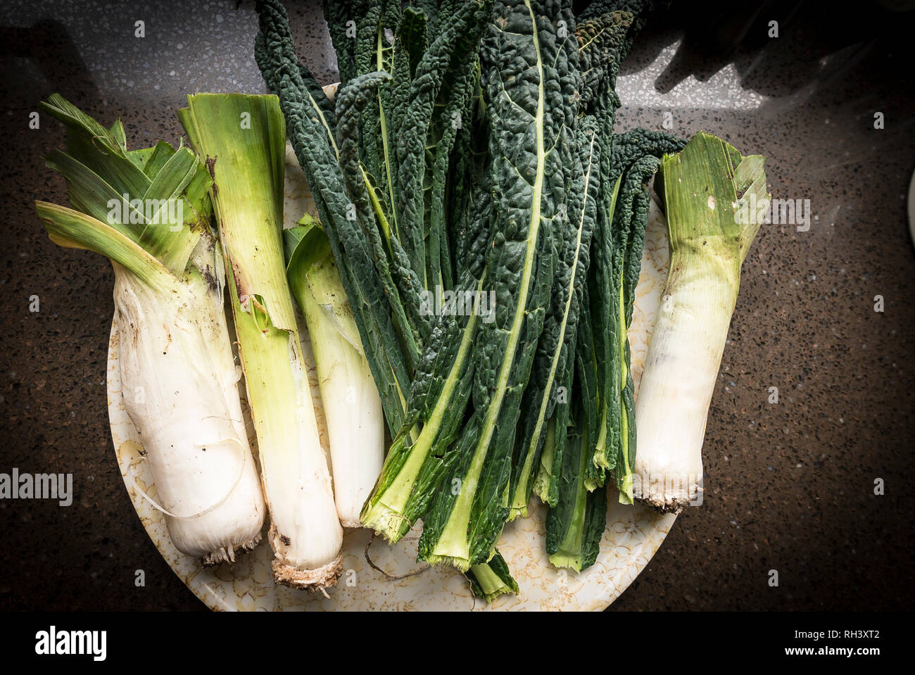 Freshly picked, trimmed and washed home-grown vegetables including Kale Black Tuscan and leeks - produce of a private English garden in UK Stock Photo
