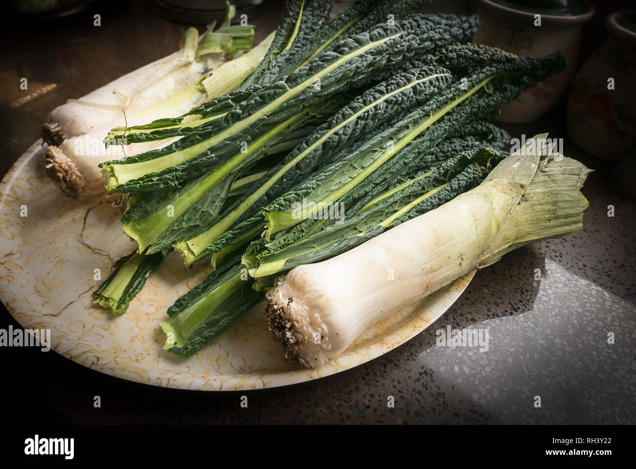 Freshly picked and trimmed home-grown vegetaables including Black Tuscan kale and leeks Stock Photo