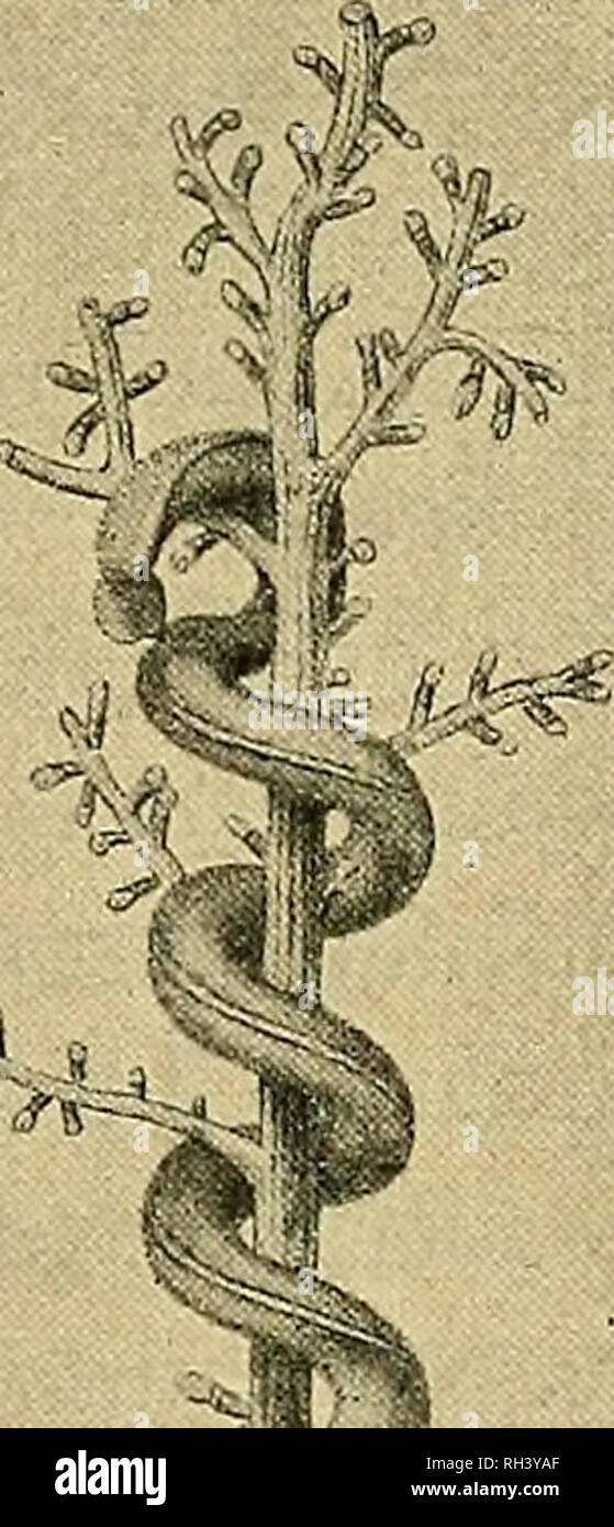 Page 11 Xm 1 High Resolution Stock Photography And Images Alamy