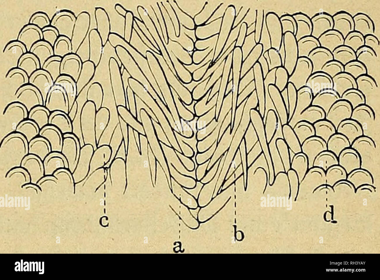 Page 11 Xm 1 High Resolution Stock Photography And Images Alamy