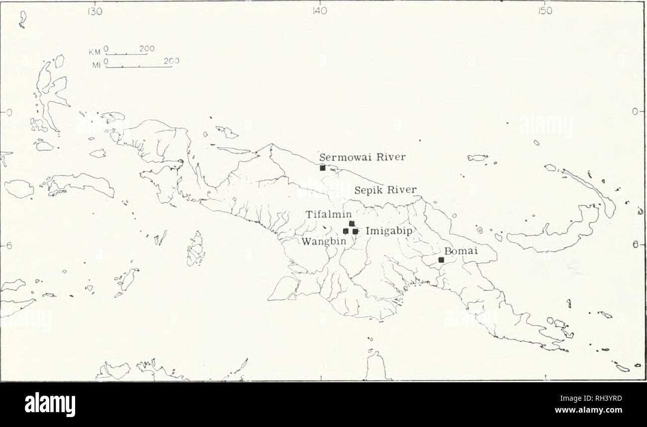 . Breviora. 00 BREVIORA No. 406. Figure 10. Map of New Guinea showing the known localities for Spfieno- morphus schultzei. and form a broad suture; in the remaining two specimens the right prefrontal is lacking in one and the prefrontals are sepa- rated in the other. In all 12 intact specimens the fourth supra- labial is situated beneath the eye. The largest specimen mea- sures 39 mm in snout-vent length. In two of the MCZ specimens I found a single large, heavily shelled egg in the right oviduct. And in the only specimen of these two in which I looked for a left oiduct, I could find none, al Stock Photo