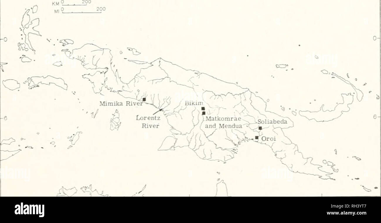 . Breviora. ^^ Figure 7. Map of eastern New Guinea showing the known localities for SpJienornorphiis forbesi.. &lt;%^- Figure 8. Map of New Guinea showing the known localities for Spheno- morphus oligolepis.. Please note that these images are extracted from scanned page images that may have been digitally enhanced for readability - coloration and appearance of these illustrations may not perfectly resemble the original work.. Harvard University. Museum of Comparative Zoology. Cambridge, Mass. , Museum of Comparative Zoology, Harvard University Stock Photo