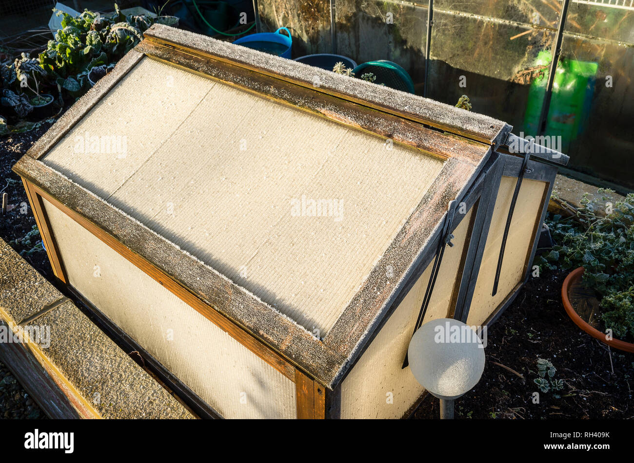 A frost-covered wooden cold frame on a raised bed protecting plants during January in an English garden Stock Photo