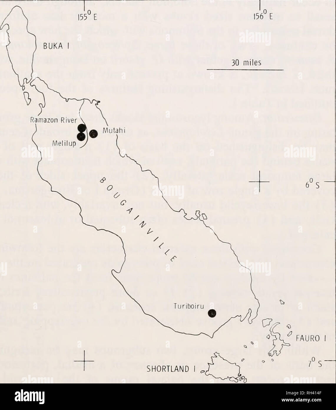 . Breviora. 1968 NEW SKINK FROM BOUGAINVILLE •6°S 7°S 156° E 30 miles o 155 E SHORTLAND MONO I (^J&gt; 6°S. 156° E Figure 2. Bougainville and neighboring islands showing the known locali- ties from which Geomyersia glabra has been collected. The apparent rarity is not solely the result of size, as many juveniles of the small skinks are collected and the natives were offered in- centives to collect the species. (Interestingly enough the largest skink in the Mutahi-Melilup area, Sphenomorphus taylori, is as infrequently collected as is Geomyersia glabra.) Morphological Comparisons with Other Sma Stock Photo
