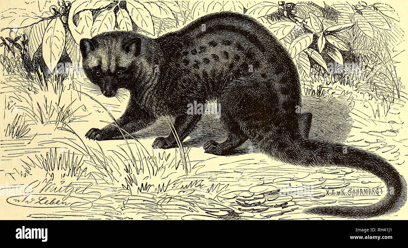 Qung hi-res stock photography and images - Alamy