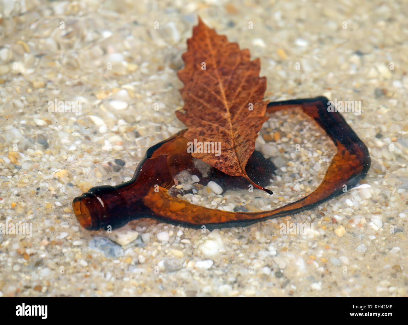 leaf floating by broken brown glass bottle lying in sand just below water Stock Photo