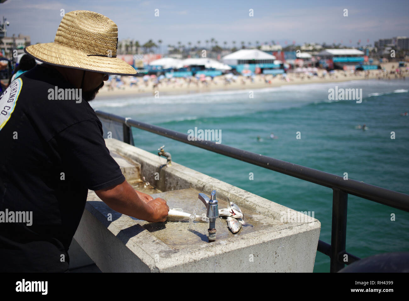 Cleaning fish - A man cleans his fresh catch from the pier in Huntington Beach, CA. In the background you can see the setup for the US open of surfing Stock Photo