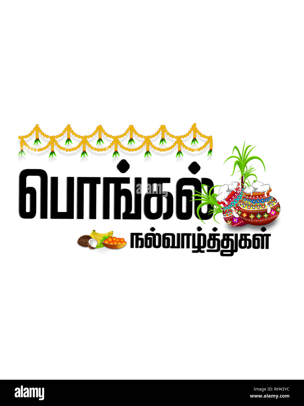 south indian harvesting festival celebrations poster or banner design with shiny text happy pongal RH43YC