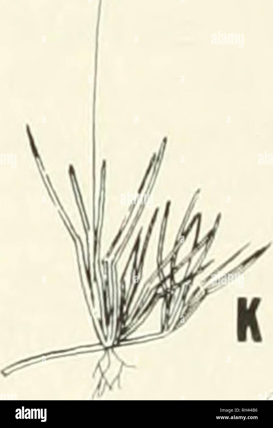 10 Cm K 17 High Resolution Stock Photography And Images Alamy