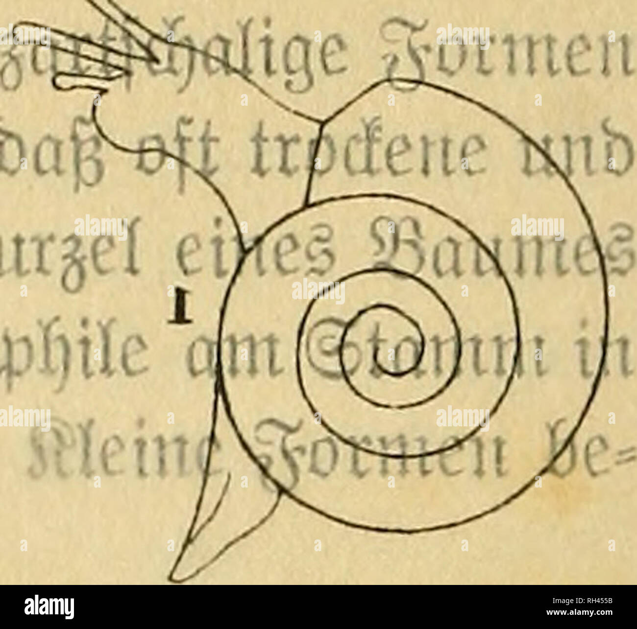 Th C U High Resolution Stock Photography And Images Alamy