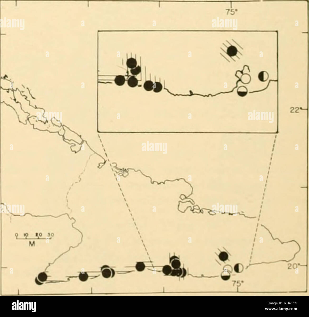 . Brigham Young University science bulletin. Biology -- Periodicals. 11 Hiiii.ii i Young I miwn Si u &lt; , Hi i i i i in Bahia de &lt; luantanamo. Uthough there are sped mm us from Caimanera on the &lt;st side ((| the bay, there is no evidence ol the occurrence &quot;I S. decoratus any farther to the west. The onh Grant specimen ol rtrategus thai we know of is one that was included in the type scries ol S. alayoi. The fact that Grant collected other forms Inii apparent!) not man) decoratus on the Naval Base may indicate that he collected in a differ- ent ecological situation than that p Stock Photo