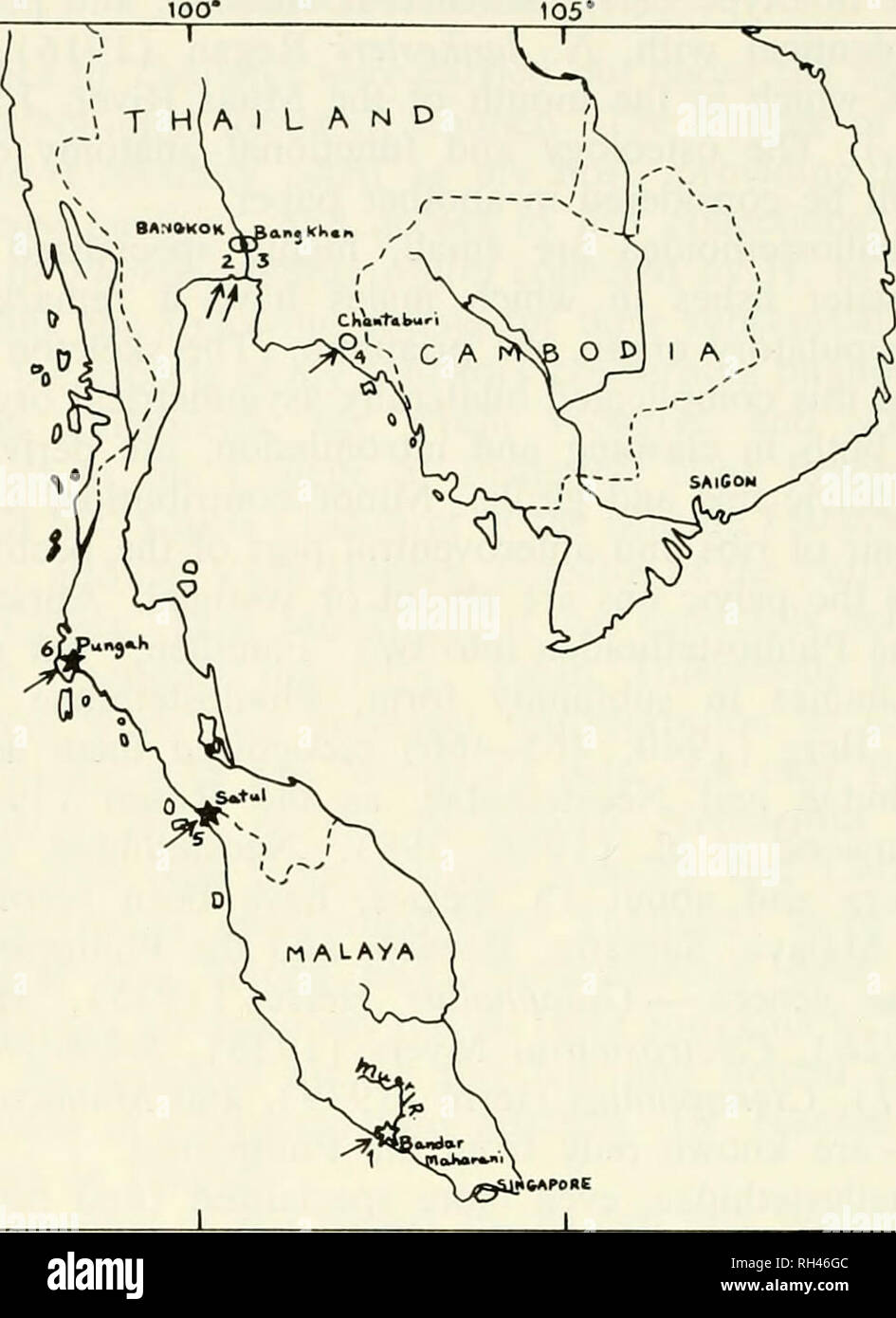. Breviora. BREVIORA No. 374 ir 10&quot; 5*-. - 10&quot; 15* 5* 100* lOS* Figure 1. All localities where Phallostethidae have been collected. 1. Mouth of Muar River at Bandar Maharani (type locality of Phallostethus dimckeri Regan, 1913); 2. Bangkok (type locality of Phenacostethiis smithi Myers, 1928); 3. Bangkhen, a suburb of Bangkok (Ph. smithi); 4. Chanta- buri City {Ph. smithi); 5. Khlong La Ngoo, 48 km NW of Satul Town, 6° 52' 30&quot; N, 99° 48' 10&quot; E (type locality of Phenacostethiis posthon n. sp.); 6. Khlong Kla Sohm, 15 km S of Pungah Town, on Pakasem Road from Pungah going tow Stock Photo