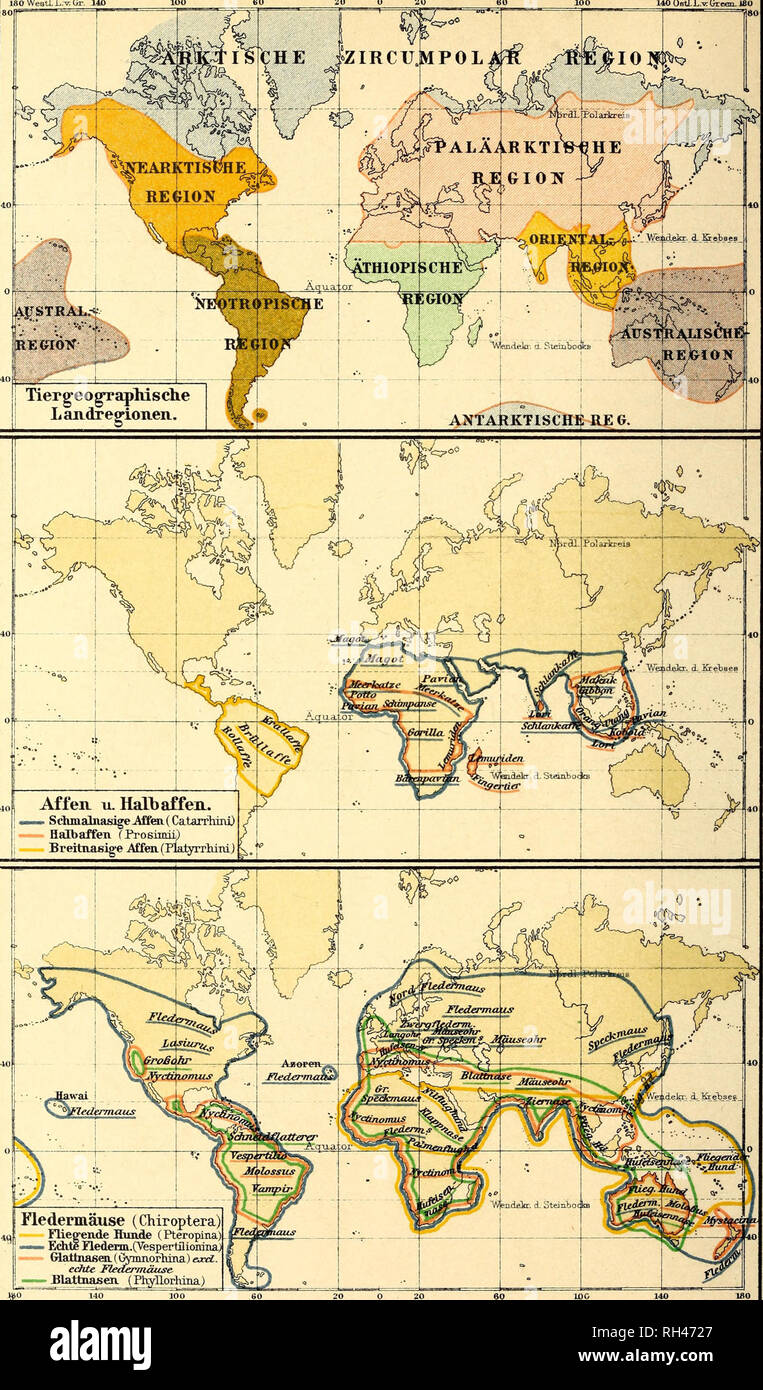 Brehms Tierleben Allgemeine Kunde Des Tierreichs Mit 1800 Abbildungen Im Text 9 Karten Und 180 Tafeln