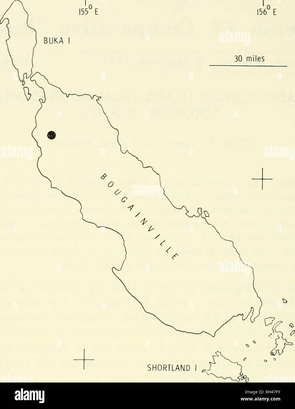. Breviora. BREVIORA No. 364 155Â° E 56Â° E BUKA I 30 miles â 6Â°S â¢7Â°S. 6Â°S-^ I55Â°E SHORTLAND MONO I (^ FAURO 7Â°S- 156Â° E Figure 1. Map of Bougainville showing the location approximately 5 miles east of Kunua where the type and only known specimen of Spheno- morphiis transversus was collected. Diagnosis. Similar in squamation to those skinks of the genus Sphenomorphus (Table 1 ) that have a single anterior loreal, the frontal in contact with 3 or more of the 5 or more supraoculars, frontoparietals and interparietal distinct, no nuchals or trans- versely enlarged scales in the two verteb Stock Photo