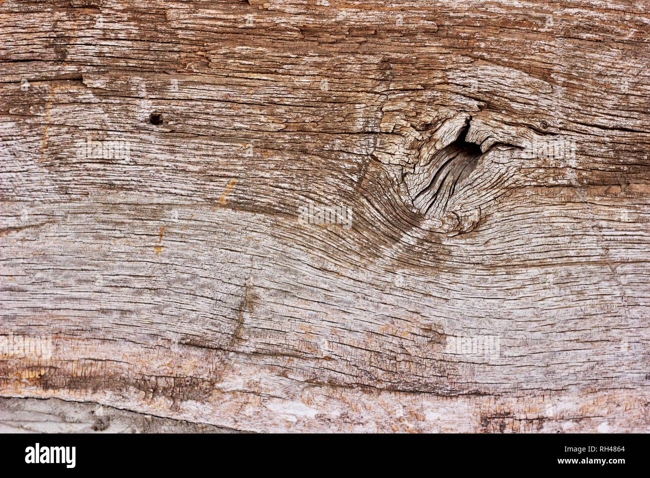 Weathered Wood Plank Macro Up Close Background Texture Stock Photo