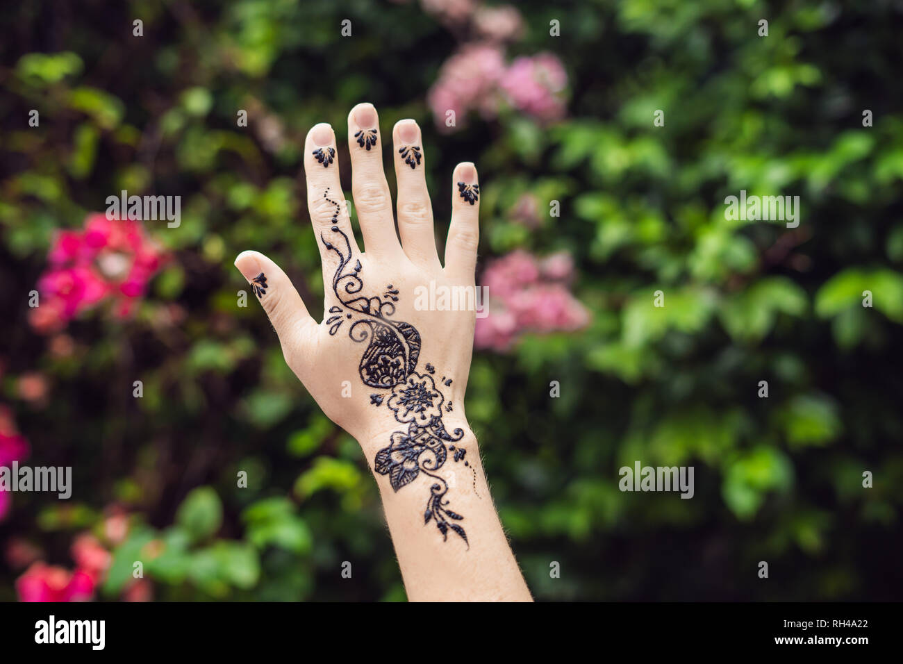 Mehandi Design High Resolution Stock Photography And Images Alamy Mehandi Design High Resolution Stock Photography And Images Alamy