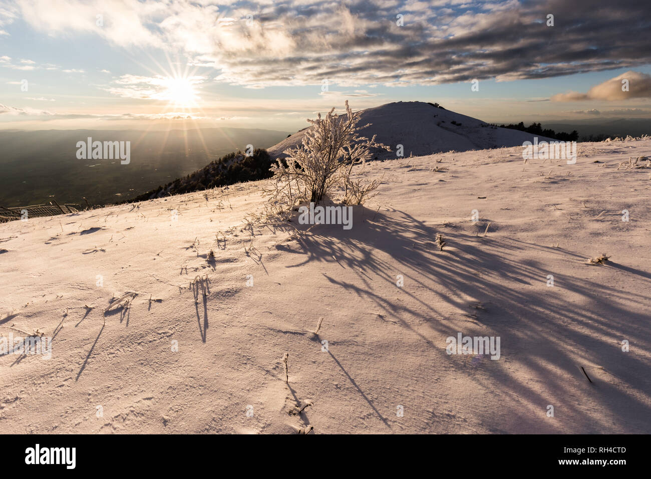 Subasio mountain (Umbria, Italy) in winter, covered by snow, with plants at golden hour Stock Photo