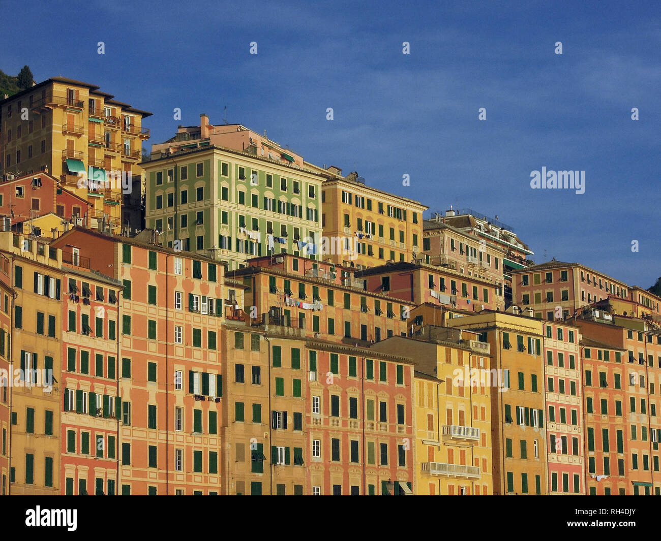 Vibrant yellow and orange buildings, Camogli, Liguria, Italy Stock Photo