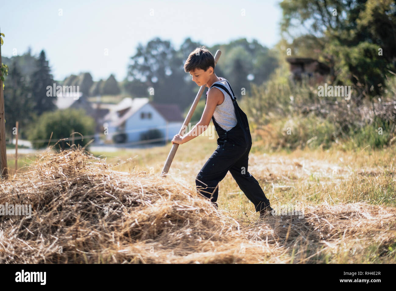 Boy in overalls working on sunny farm Stock Photo