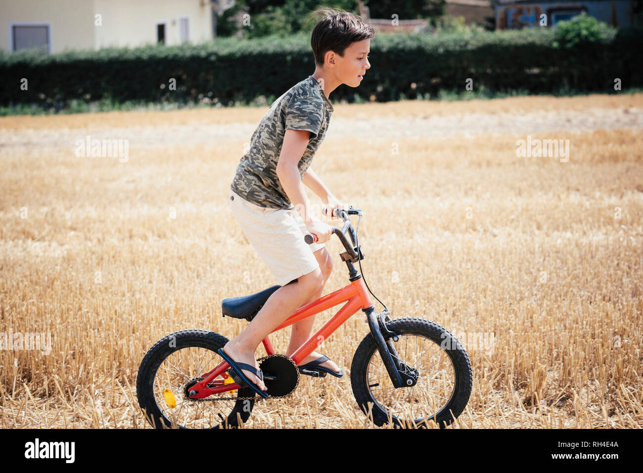 Boy riding bicycle in sunny rural field Stock Photo