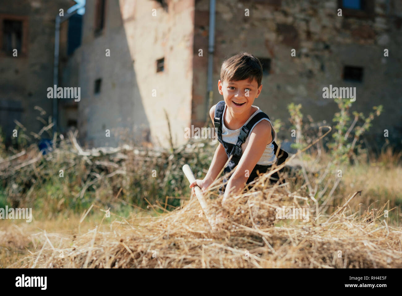 Portrait smiling boy working on sunny farm Stock Photo