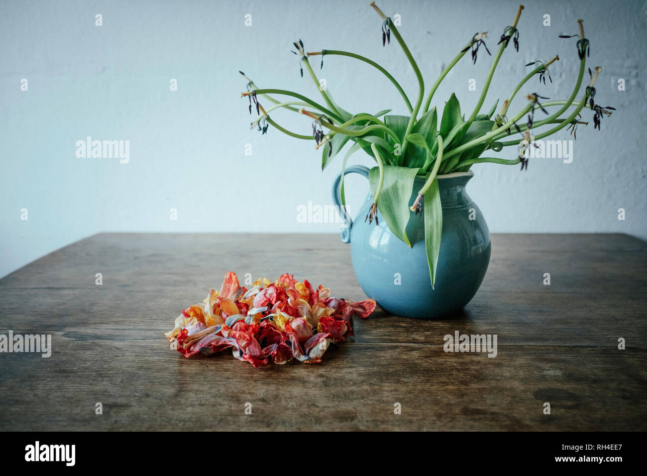 Dead flower petals next to stems in vase Stock Photo