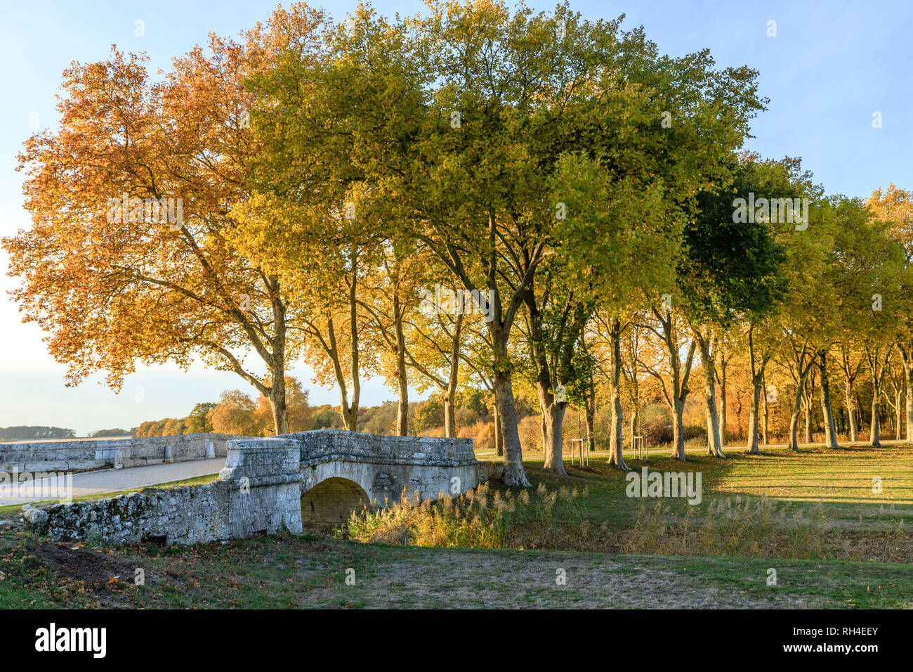 France, Loir et Cher, Chambord, Chambord castle, alley of plane trees and small bridge in autumn //  France, Loire-et-Cher (41), Chambord, château de  Stock Photo