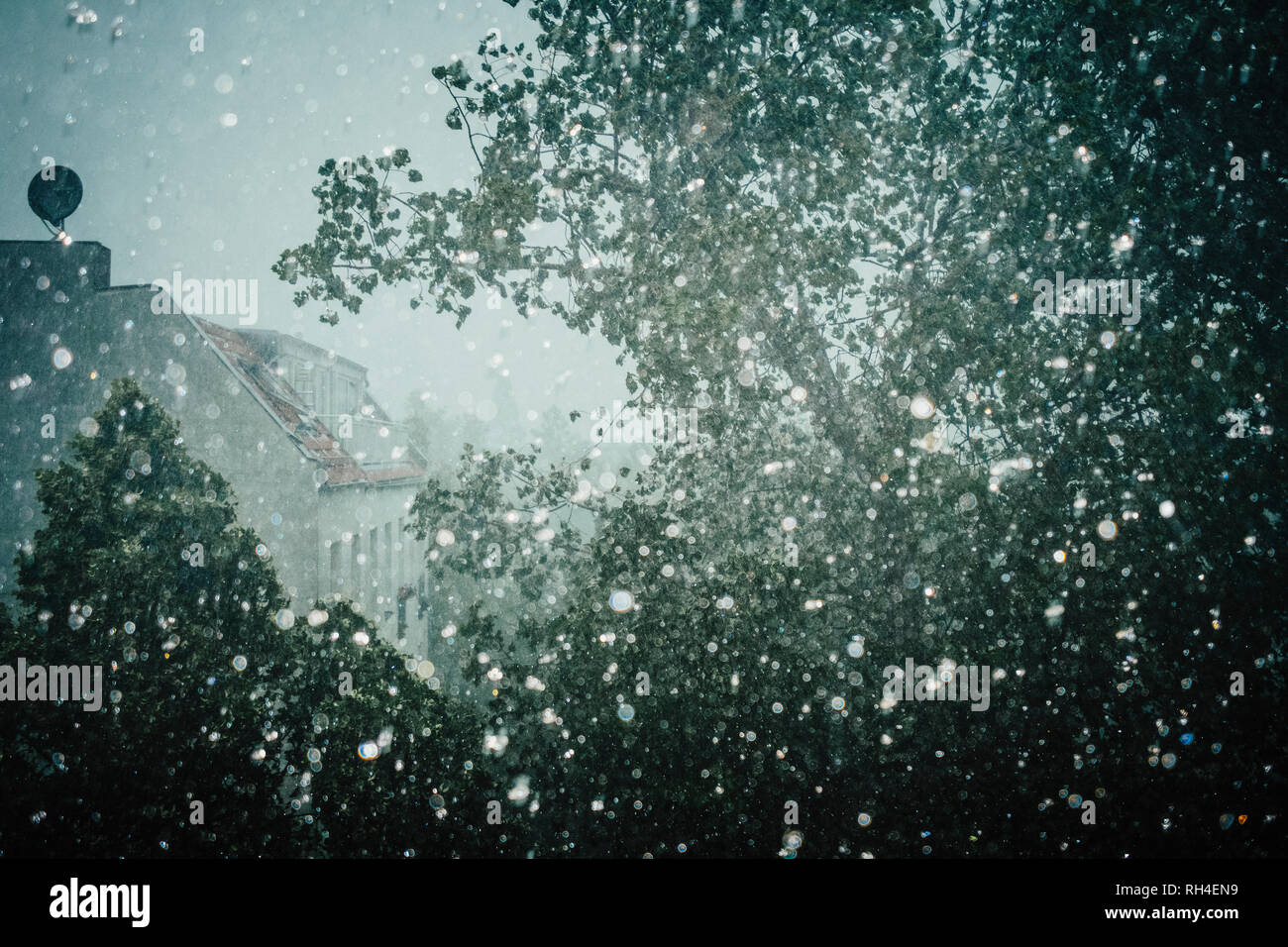 Ethereal raindrops on window overlooking tree Stock Photo